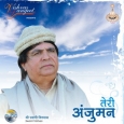 Teri Anjuman